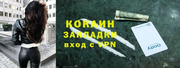 СК Алексин