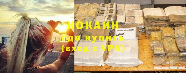 сатива Алексеевка