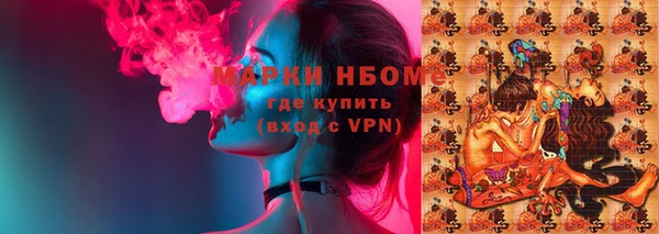 СК Алексин