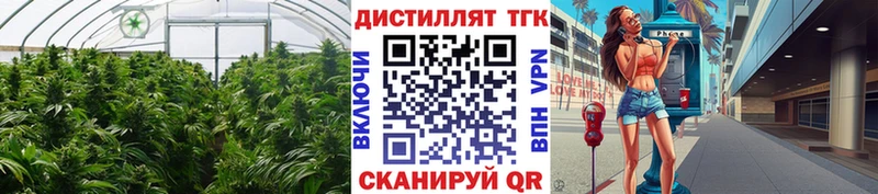 ТГК вейп  закладка  Вологда 