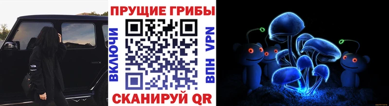 Галлюциногенные грибы мицелий  Вологда 