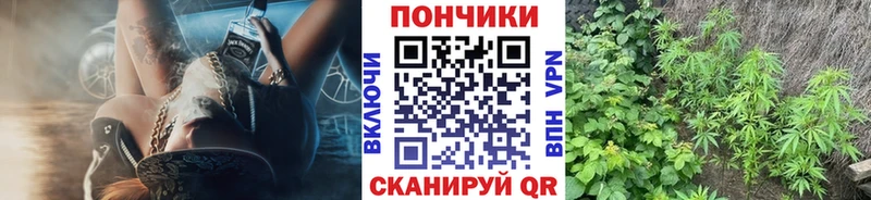 Шишки марихуана конопля  даркнет Telegram  Вологда  купить наркотики цена 